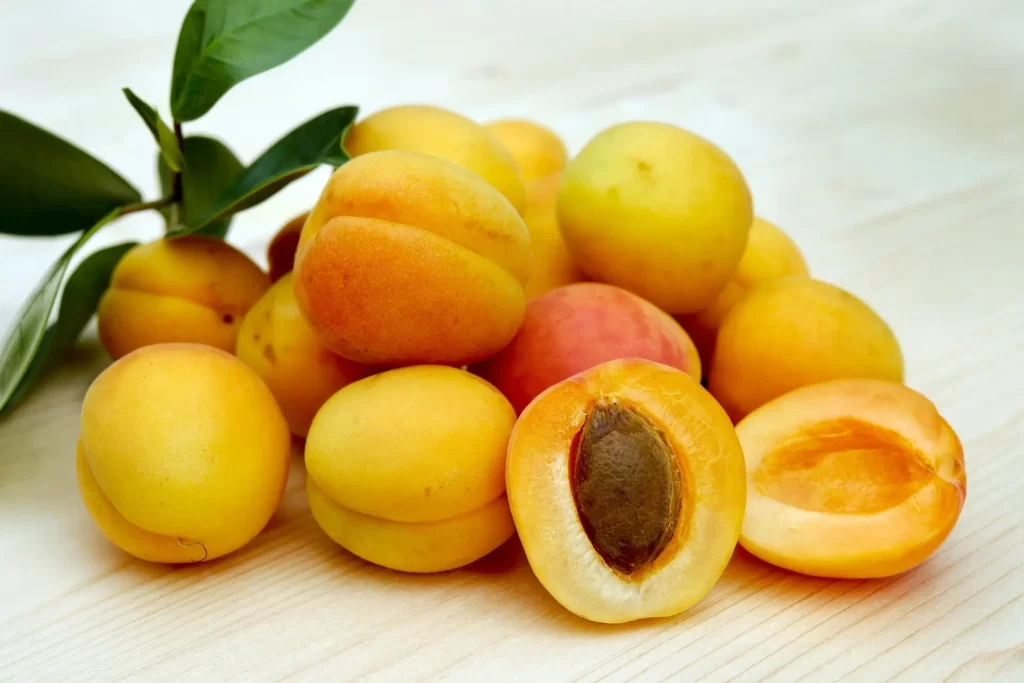 7 Amazing Apricot Benefits Good for Your Body