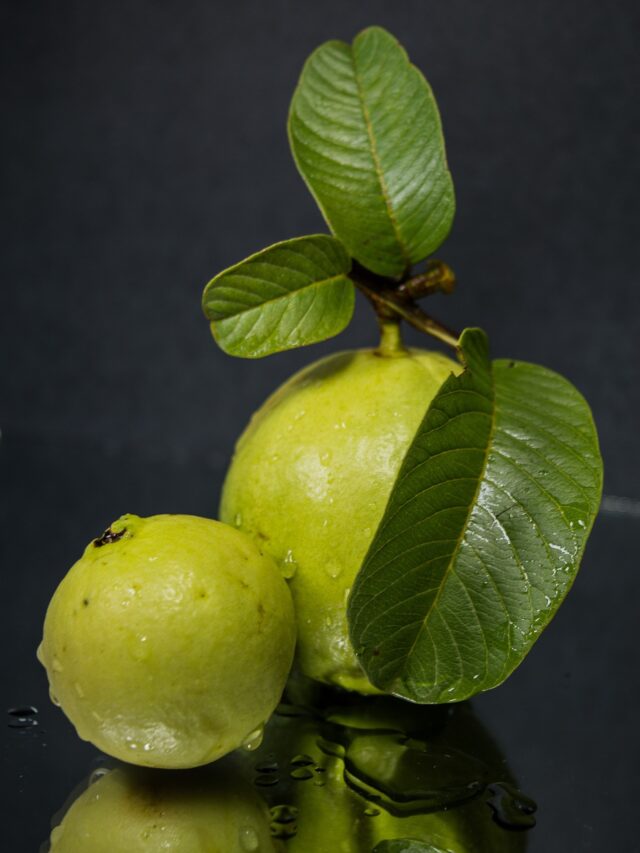 Guava Leaves Benefits