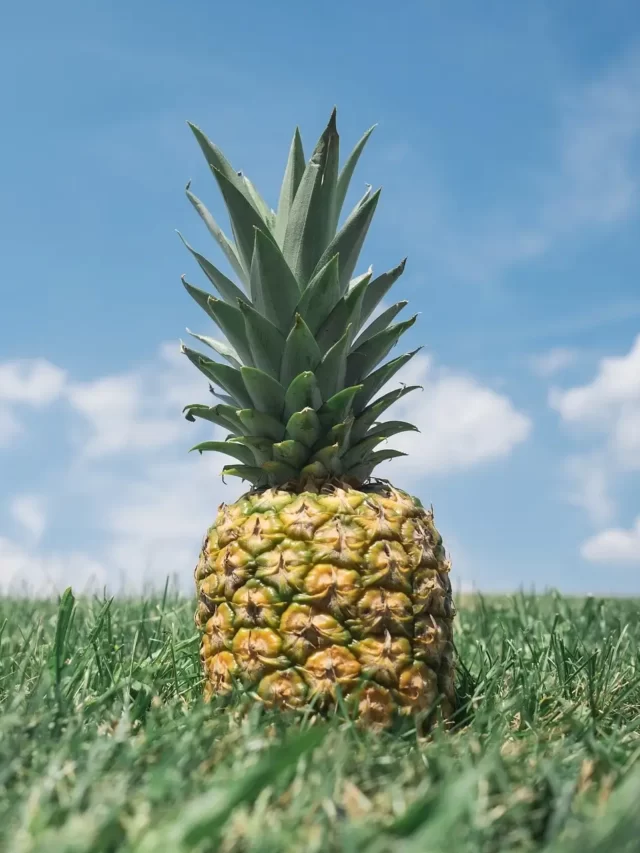 9 Greatest Health Benefits of Pineapple