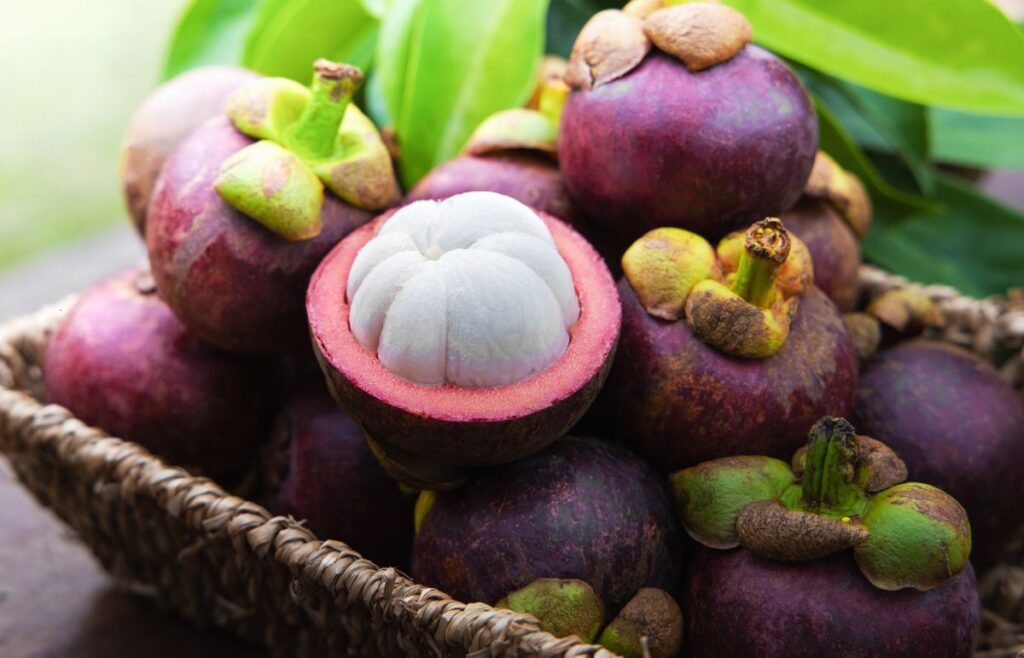 Discover the Top 10 Mangosteen Benefits for Your Body and Mind